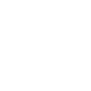 Conversion Elite Winner